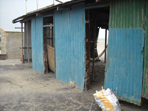 Building Projects